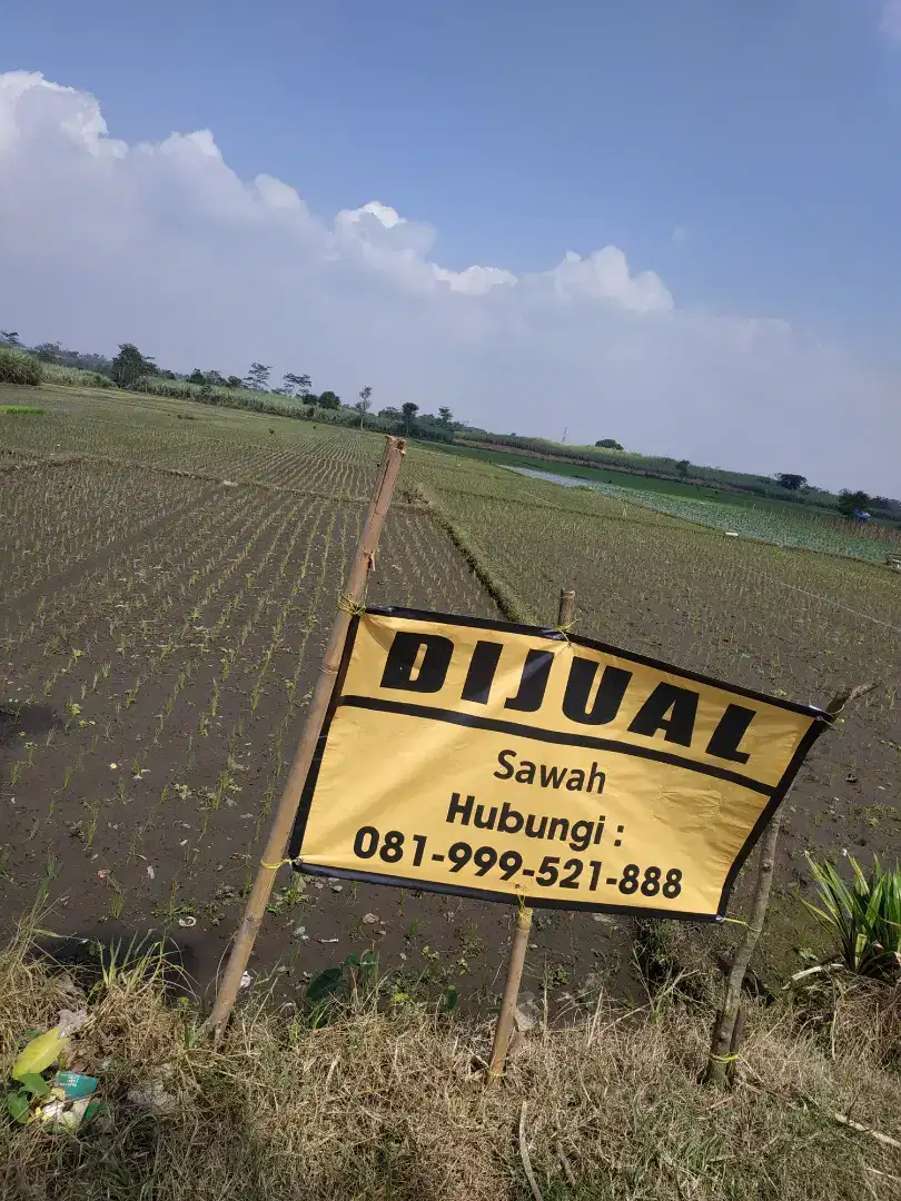 Jual cepat tanah Sawah produktif Singosari