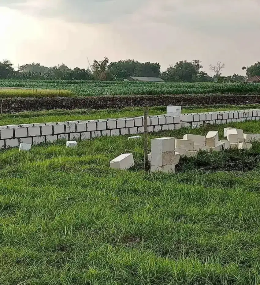 Batu kumbung untuk pondasi