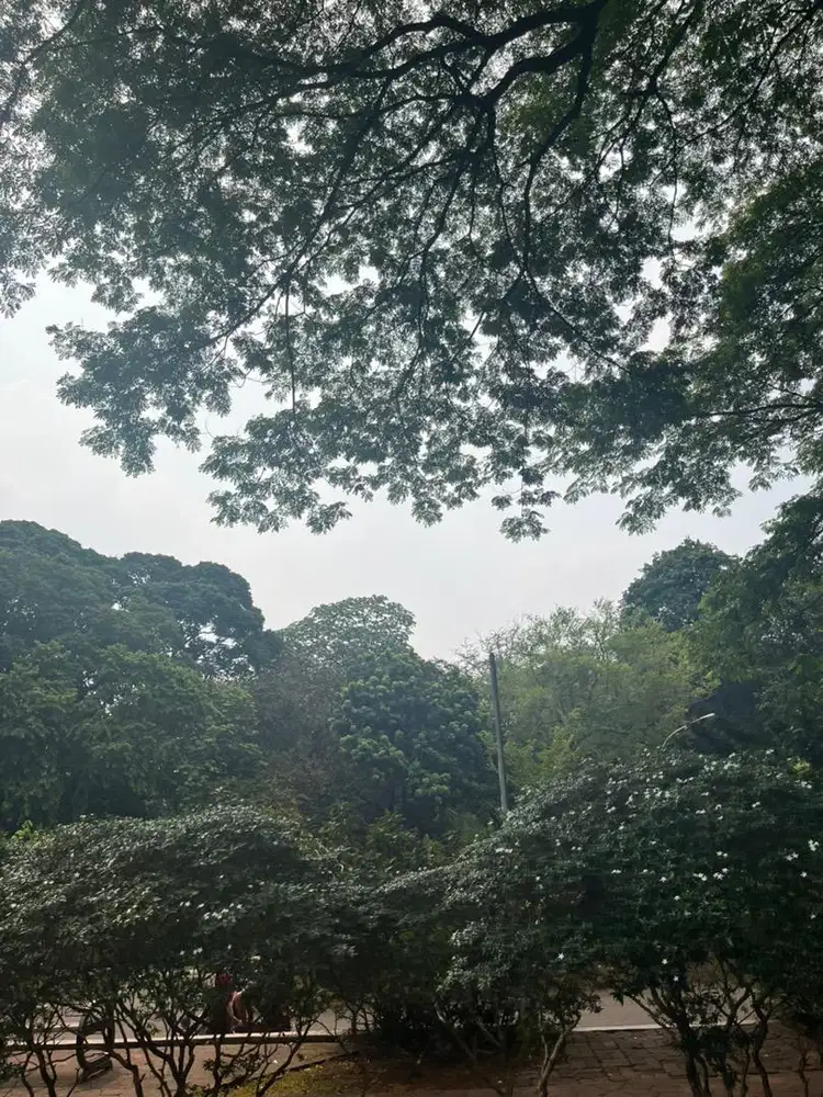 Lowongan ART momong bayi