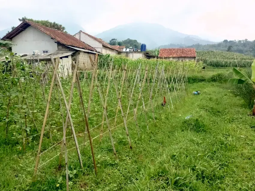 Jual Lahan Pinggir Jalan di Cimaung Banjaran