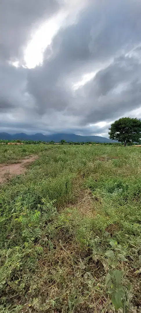 TANAH LOMBOK DI JUAL