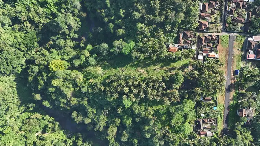 View Jungle Tanah Hak Milik di Bukit Jati Gianyar (49,6 are)