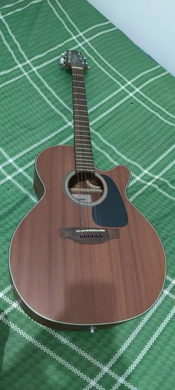 Gitar Akustik Elektrik Takamine G-series & Speaker Cort AF30