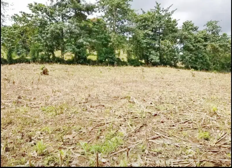 Tanah Kebun 6.781 Bukit Alano Dekat Bilibili, Gowa