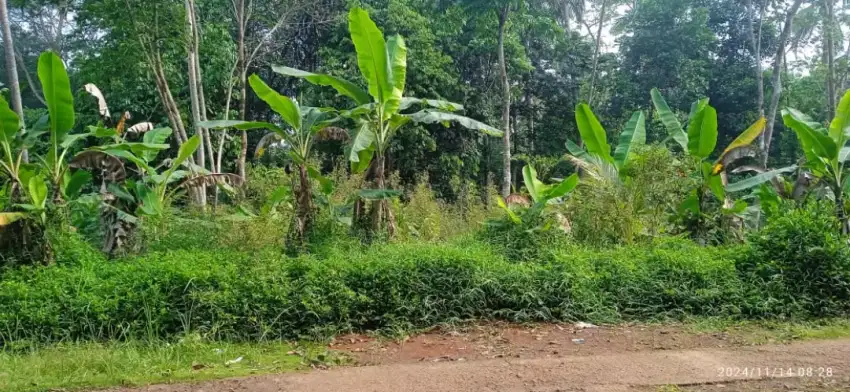 Dijual tanah , pinggir jalan cocok utk ternak ayam, penggergajian, dll