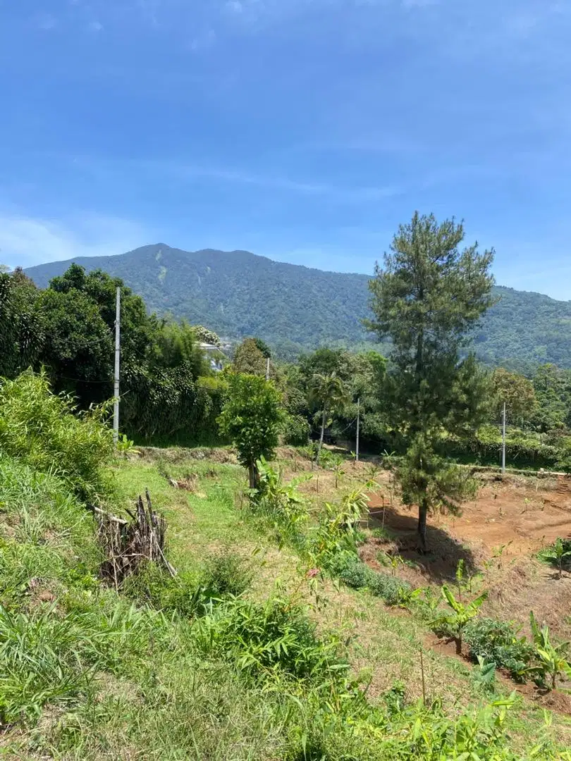 tanah cigombong murah oper alih garapan best view gunung dan kota