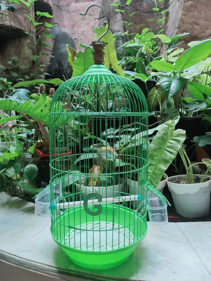 Sangkar burung kecil