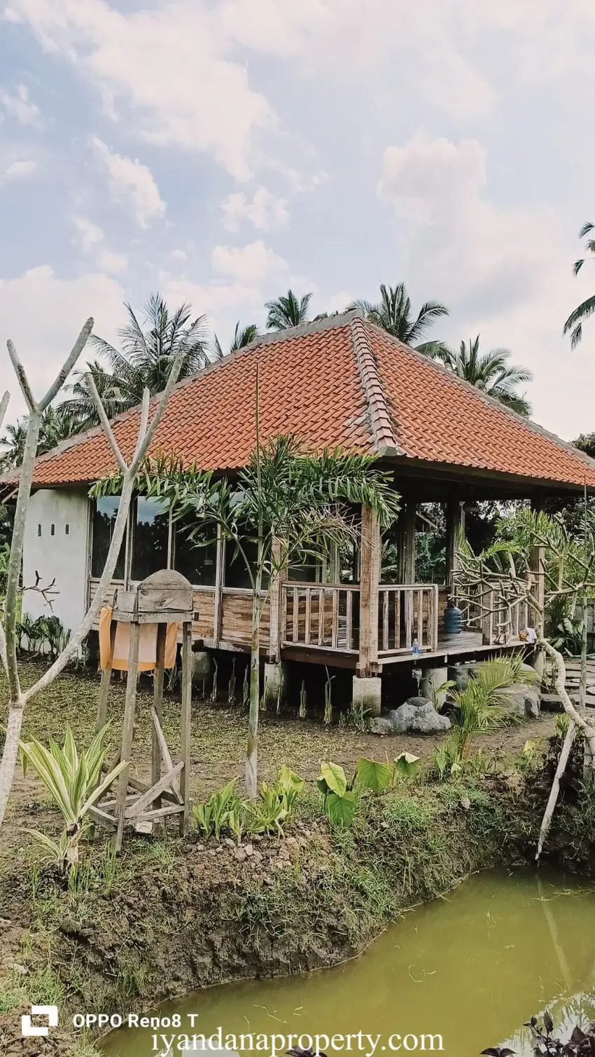 ID:F-930 Disewakan Guest House Tegalalang Gianyar Bali Dekat Ubud