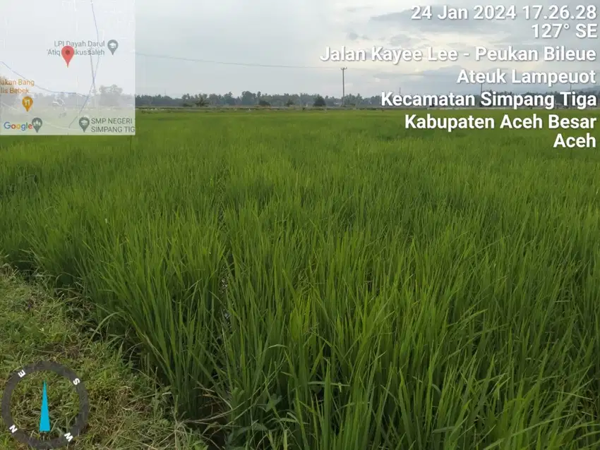 Sebudang tanah sawah