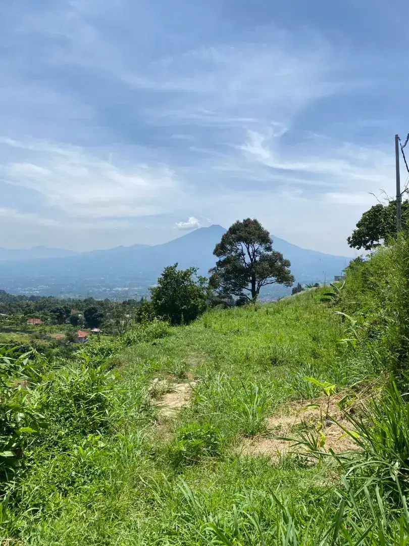 Tanah kebun pemandangan gunung dekat kopi salaca Cigombong bogor