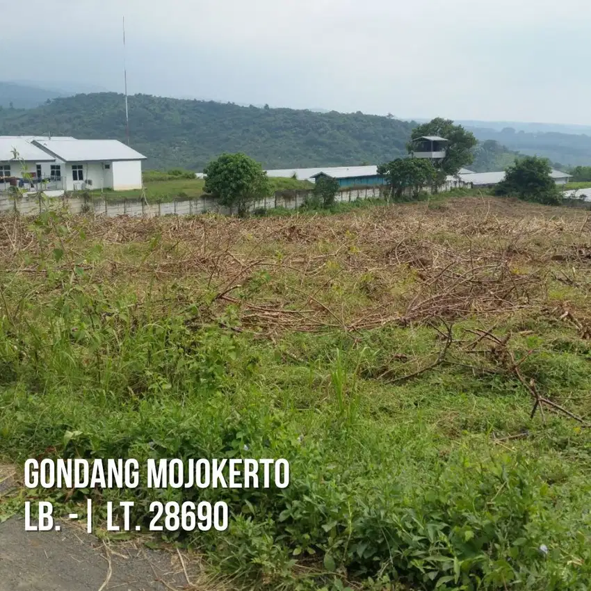 Dijual tanah Mojokerto industri PT. Wonokoyo Jaya Gondang