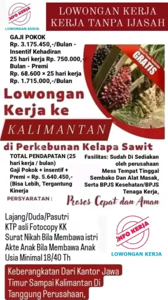 Lowongan Kerja Tanpa Ijasah Hanya KTP Sama Fotocopy KK Saja