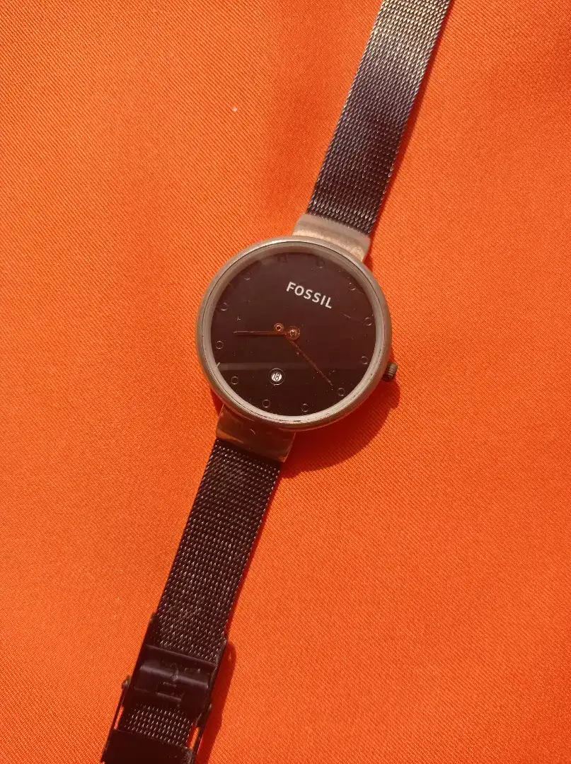 FOSSIL
FS ALL STAINLESS STEEL