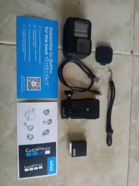 Gopro hero 11 black gopro mulus