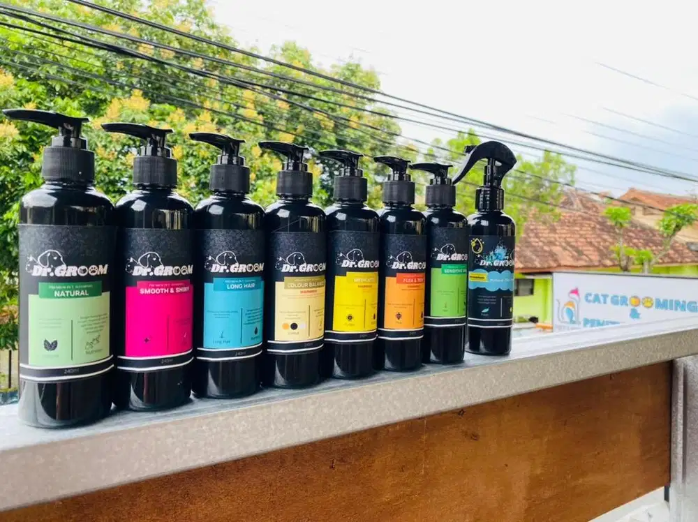 Grooming jogja, grooming kucing murah, grooming kucing jogja