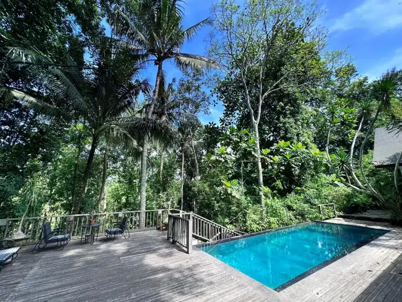 VILLA ON 6590m2 JUNGLE VIBE LAND NEAR CANGGU FOR LEASE