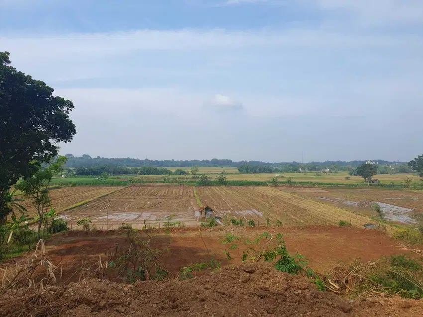 TANAH JEPARA STRATEGIS VIEW SAWAH DEKAT RESORT PANTAI KAWASAN WISATA