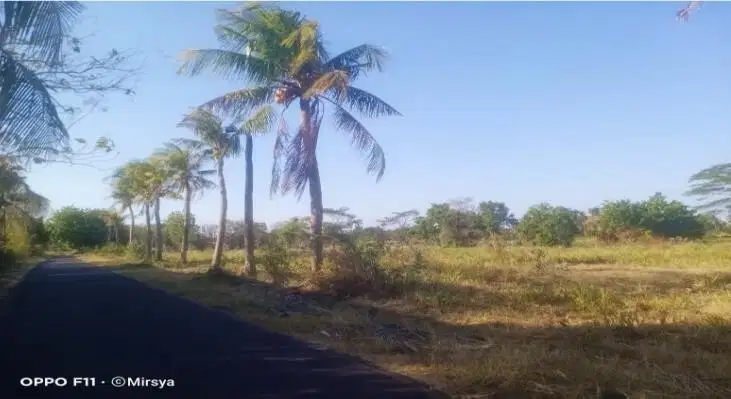 Dijual Lahan Peternakan di Lokasi Strategis dekat Jalan Pantura Timur