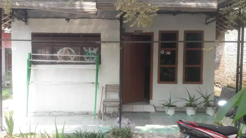 RUMAH MURAH DI PEDESAN