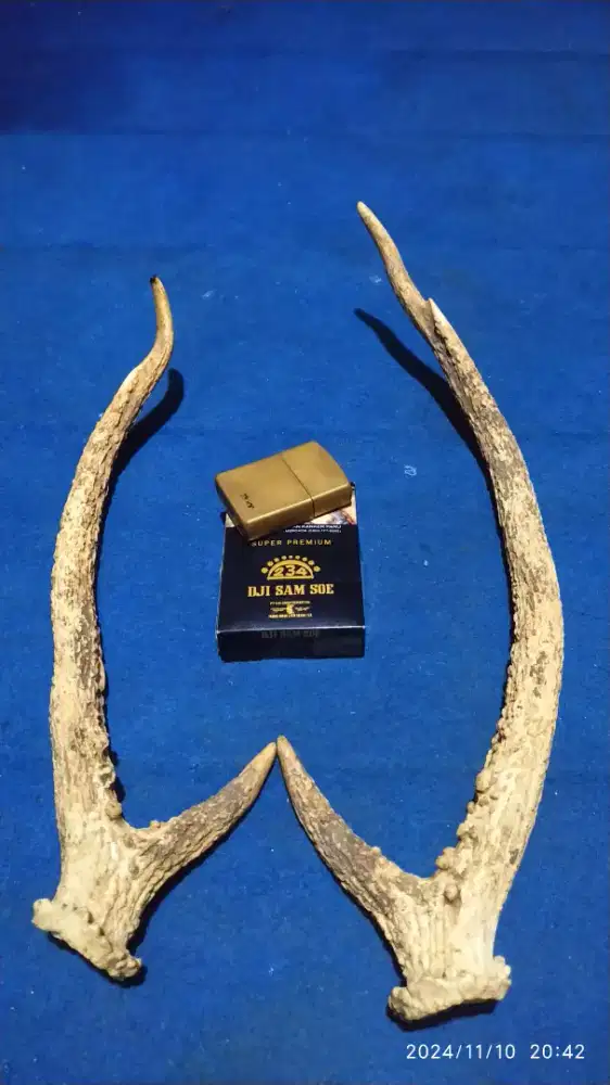 Hiasan ukiran naga tanduk kerbau