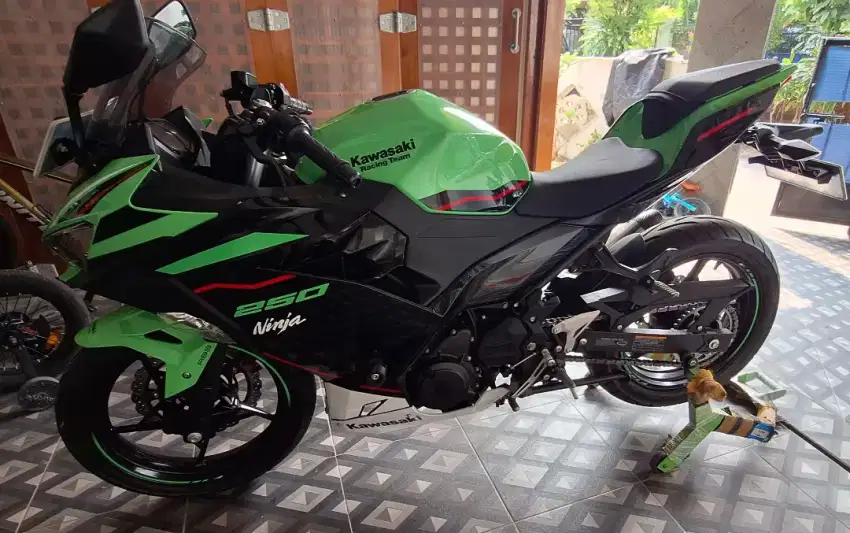 Kawasaki ninja 250 fi