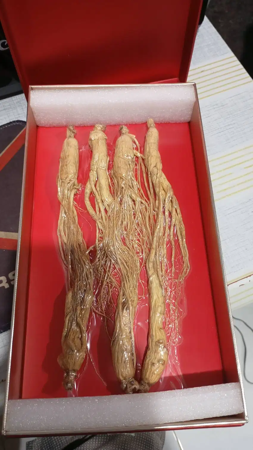 Ginseng jual cepat BU