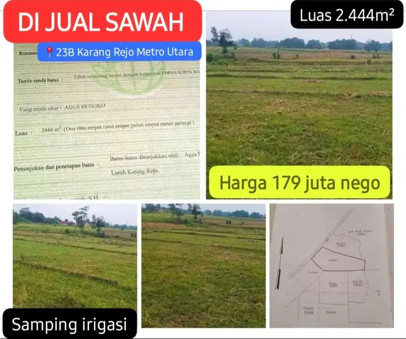 Di jual sawah di 23b Metro Utara, luas 2.444m² harga 179 jt