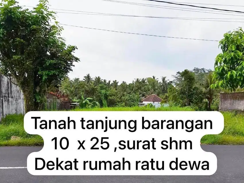 Tanah palembang Tanjung Barangan Pangkal area Bukit Baru