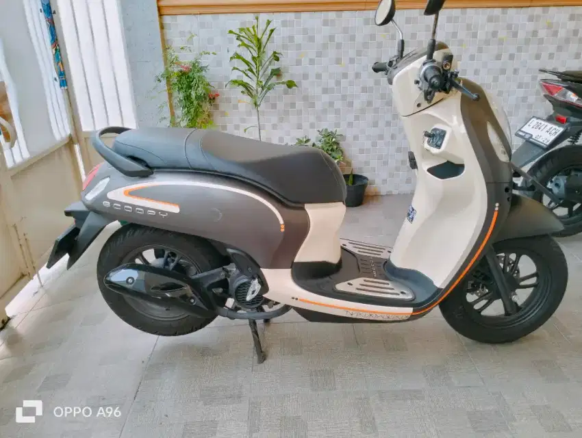 Honda Scoopy 2023 istimewa