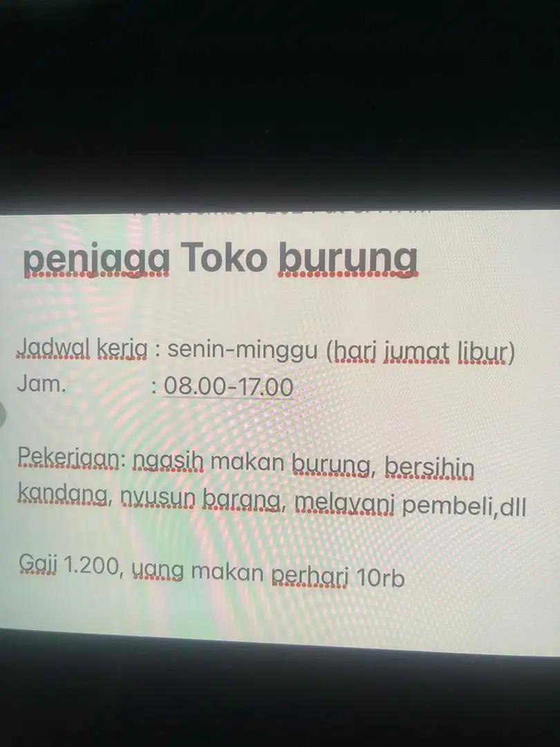 Dicari penjaga toko burung