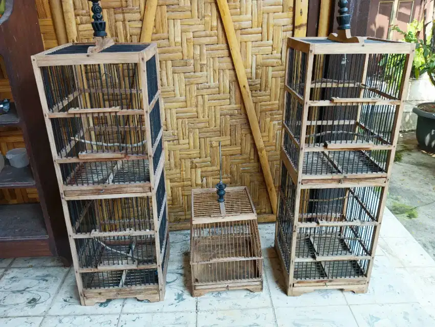 Sangkar burung kandang manuk bekas kurungan peksi sekon 2nd