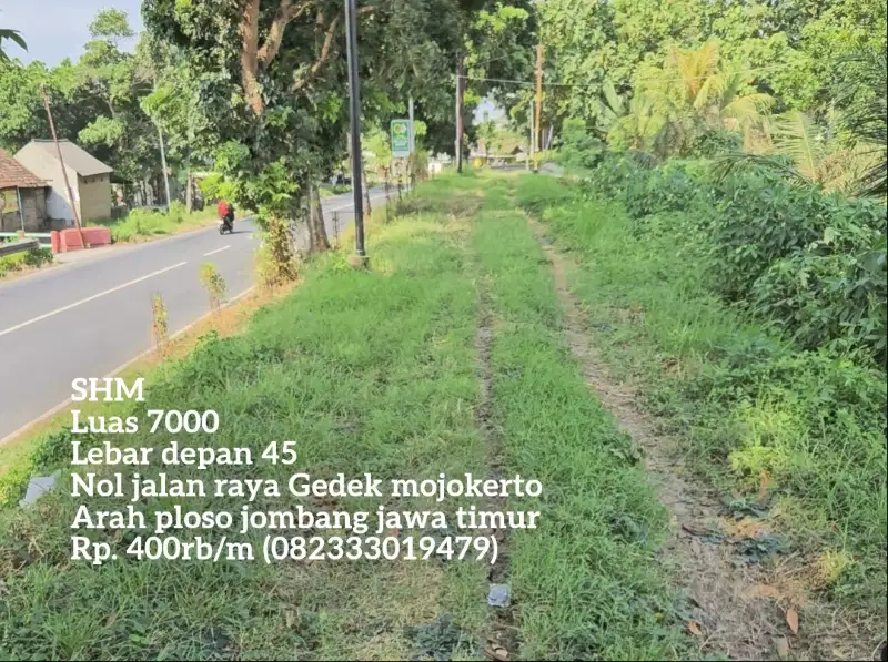 Termurah 400 rb/m tanah nol jalan raya gedeg mojokerto