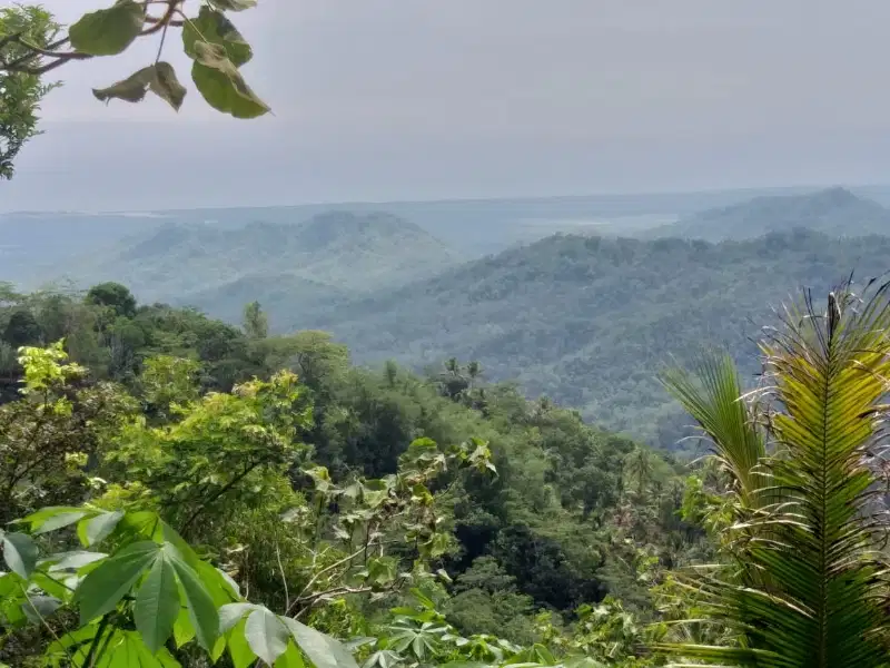 Tanah Murah view indah di kokap Kulon progo