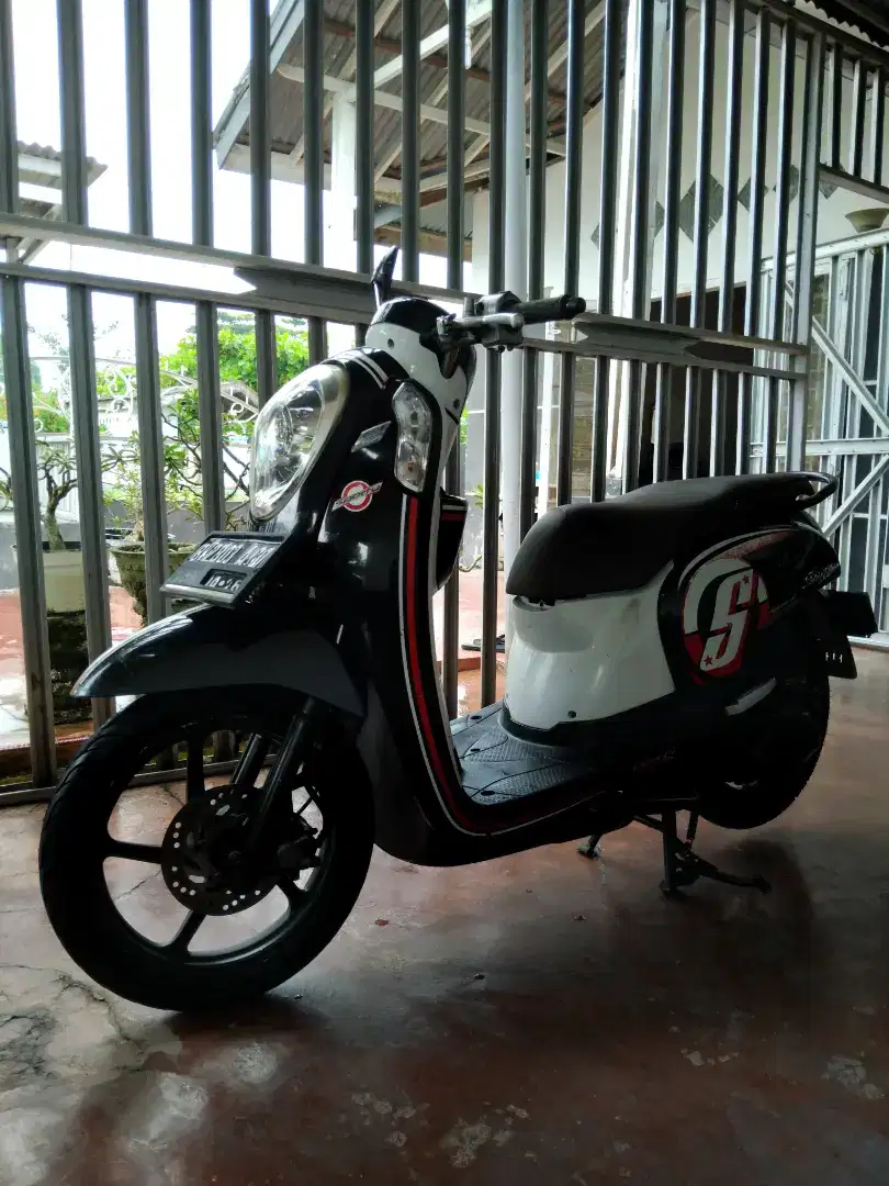 Scoopy 2016 sporty