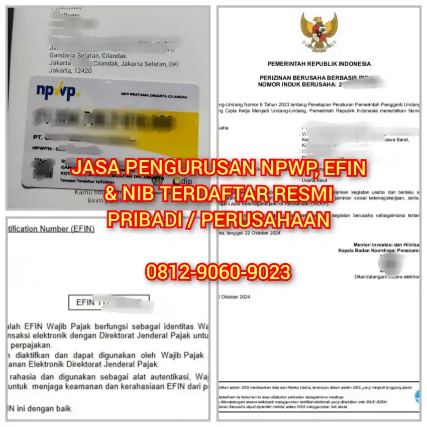 Jasa Pengurusan NPWP, EFIN, & NIB Terpercaya Se-Indonesia