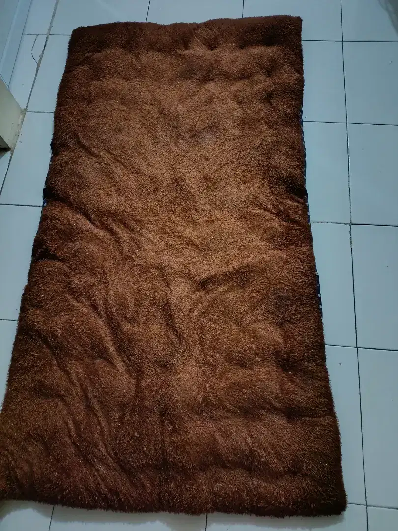 Karpet atau ambal bulu coklat