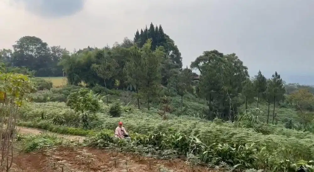 Tanah Kavling View Gunung di Sentul Cijayanti