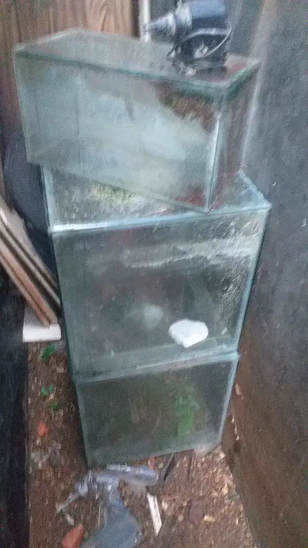 Di jual aja semuanya aquarium msh layak pake lokasi bsd