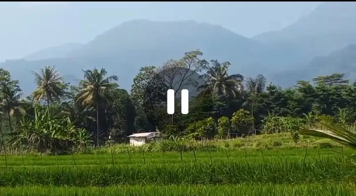 TANAH SAWAH VIEW Gn. UNGARAN