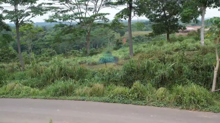 Jauh Tanah di GN Anten, Cimarga, Lebak - Banten