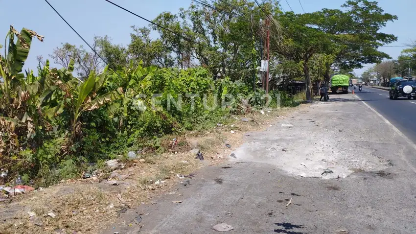 Tanah Kosong Lokasi Bagus Di Jl Raya Losari Pantura