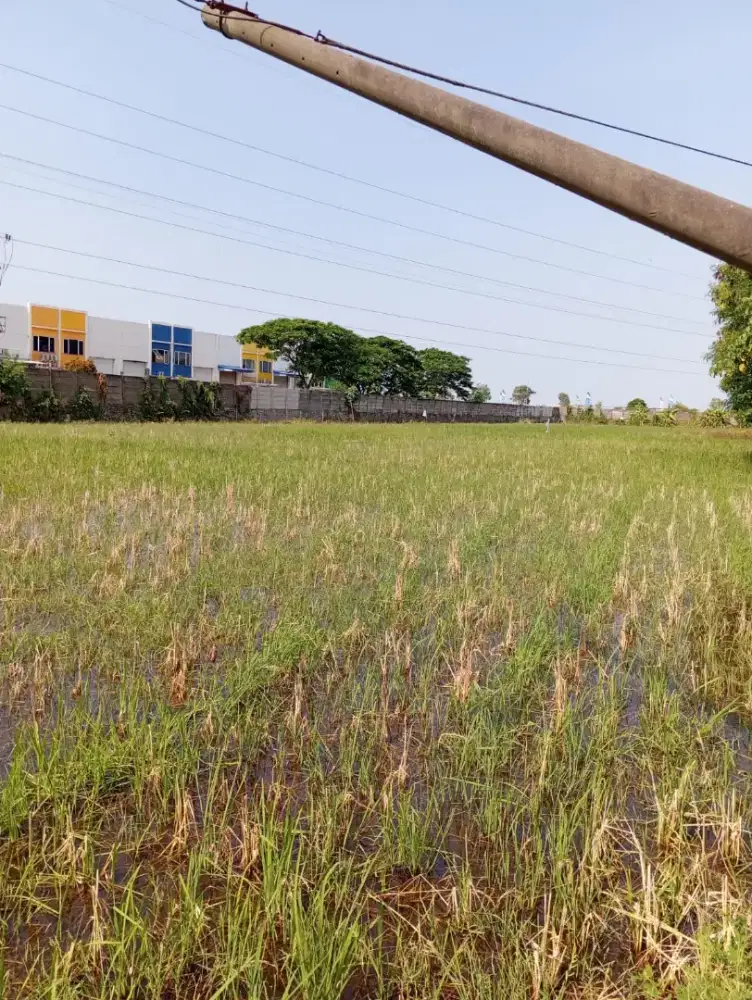 Dijual cepat! Tanah 7372 m2, karawang Barat, Karawang