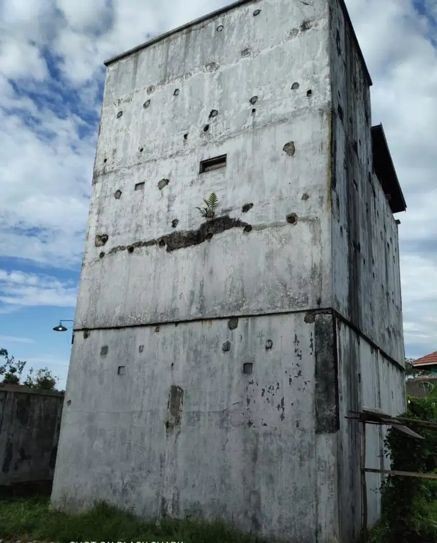 Di jual gedung walet