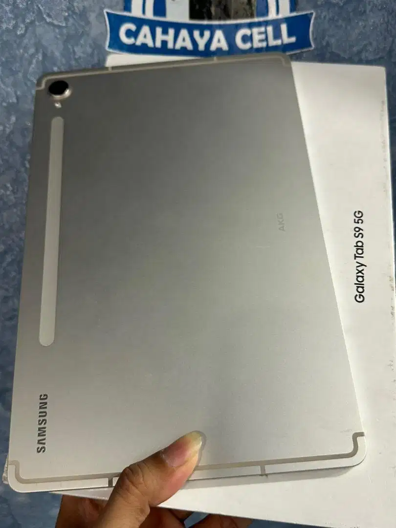 Samsung Tab S9 5G 8/128 Gray