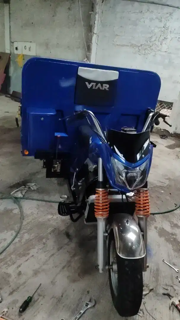 Viar 300 cc long istimewa