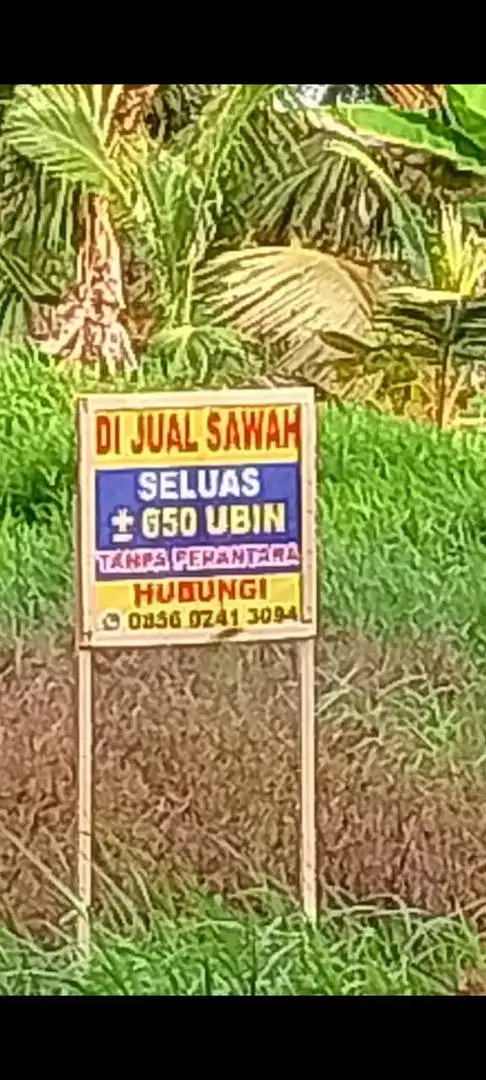 Dijual Sawah Seluas 650 Ubin atau skitar 9000 meter persegi