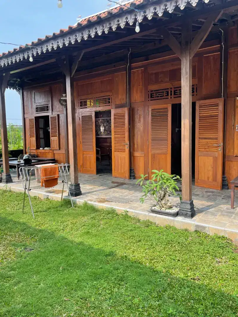 Dijual rumah Limasan dan joglo di jl Raya Lpmp ngajeg Tirtomartani