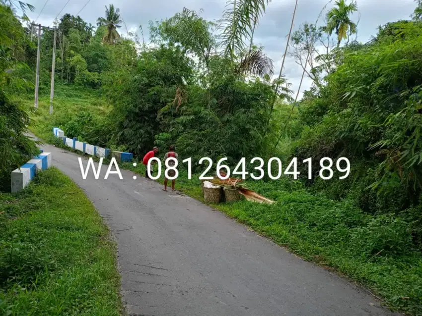 JUAL CEPAT BU 9.000M² TANAH PINGGIR SUNGAI & JLN ASPAL (091264304189)