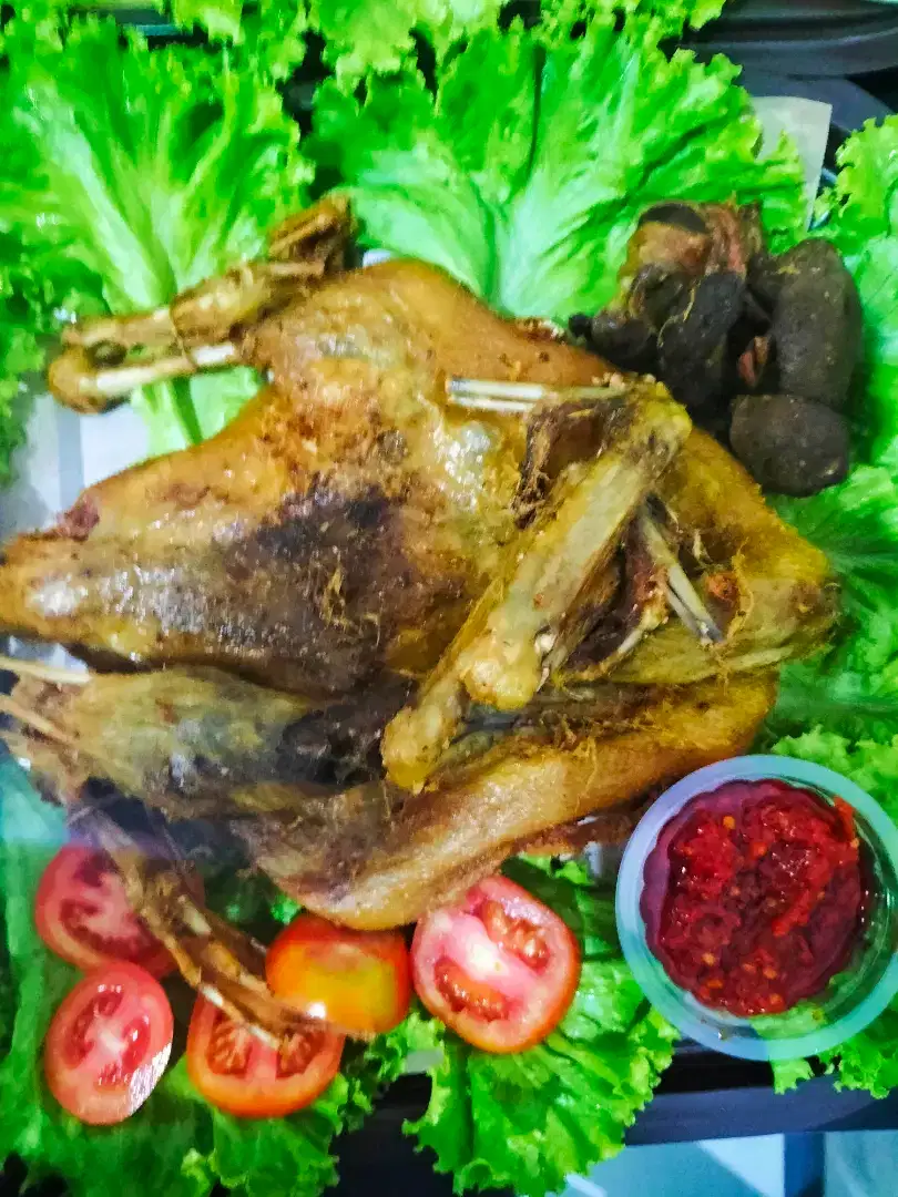 INGKUNG ayam. INGKUNG Bebek