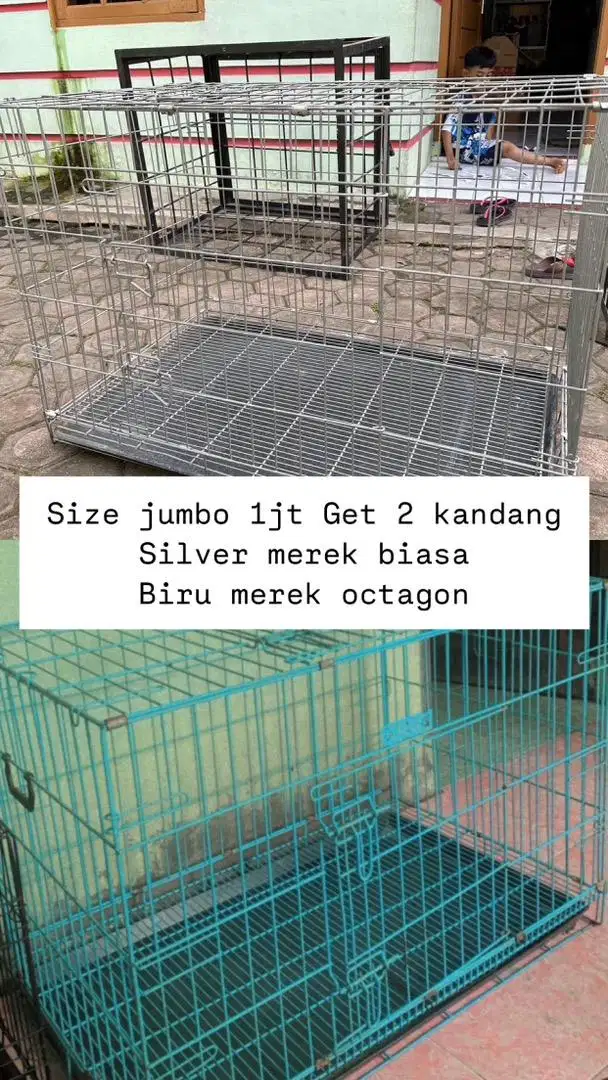 Kandang size jumbo